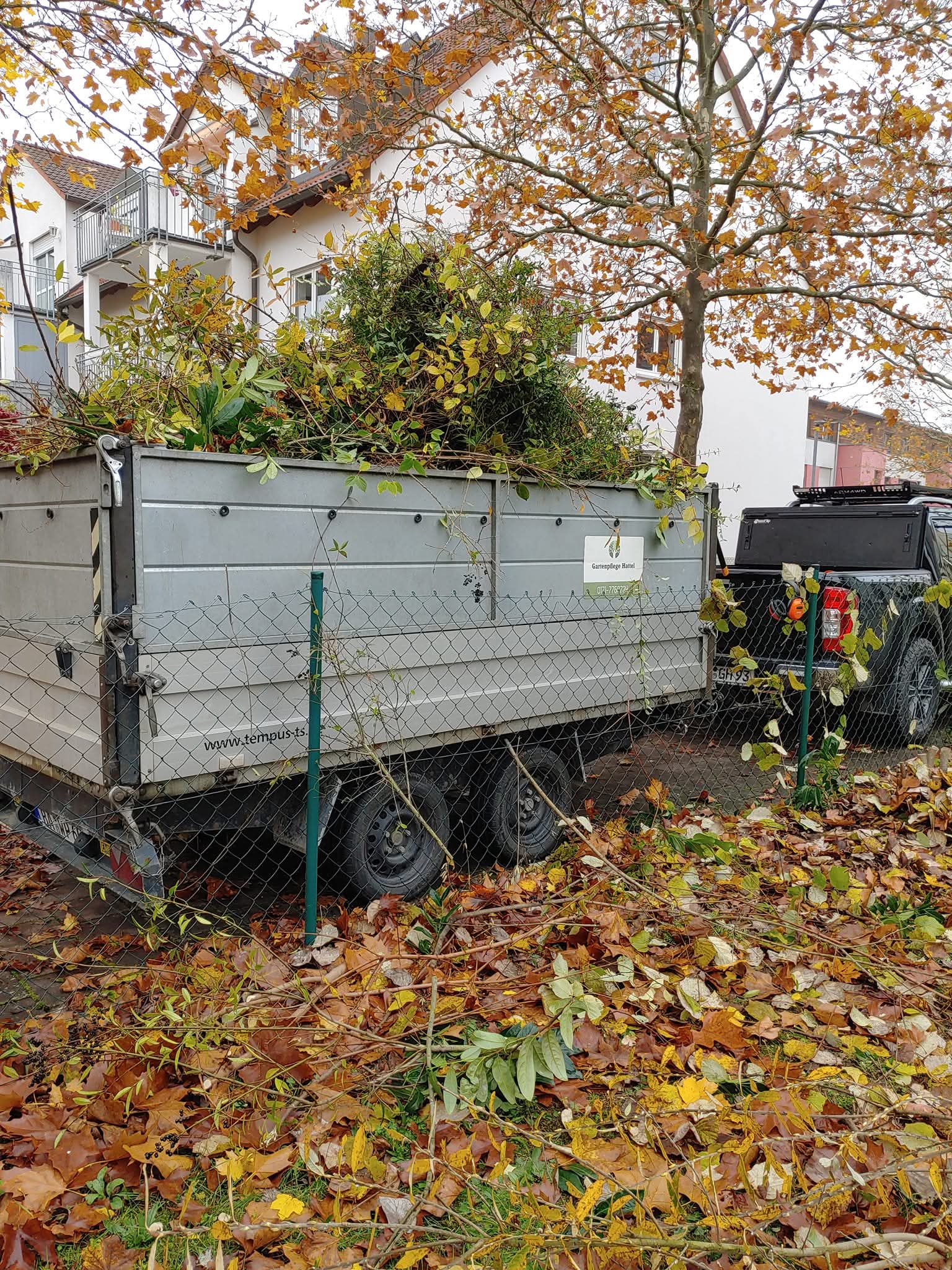 Grüngutentsorgung mit eigenem Anhänger durch Gartenpflege Hattel in Bamberg