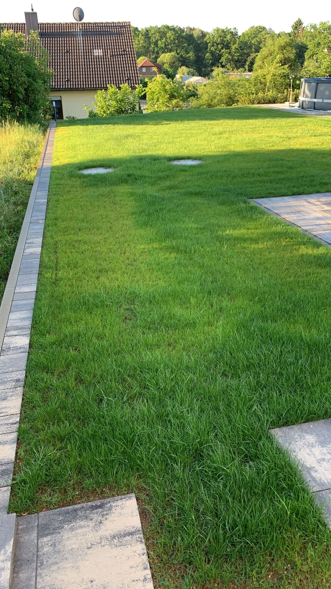Gefräster Baumstumpf nach dem Einsatz der Stubbenfräse im Garten