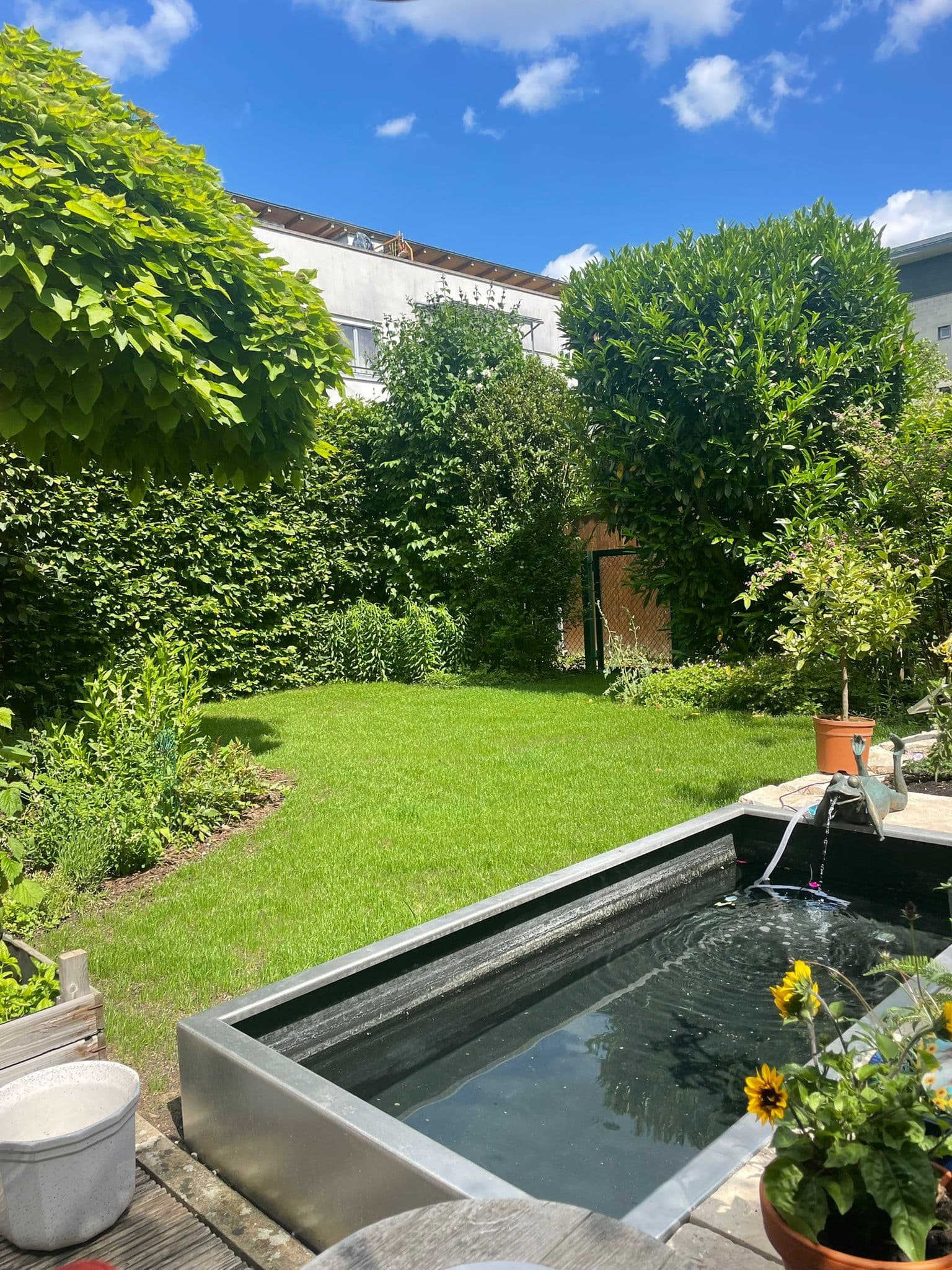 Gartenpflege Hattel Baumpflege und Gartenpflege in Bamberg