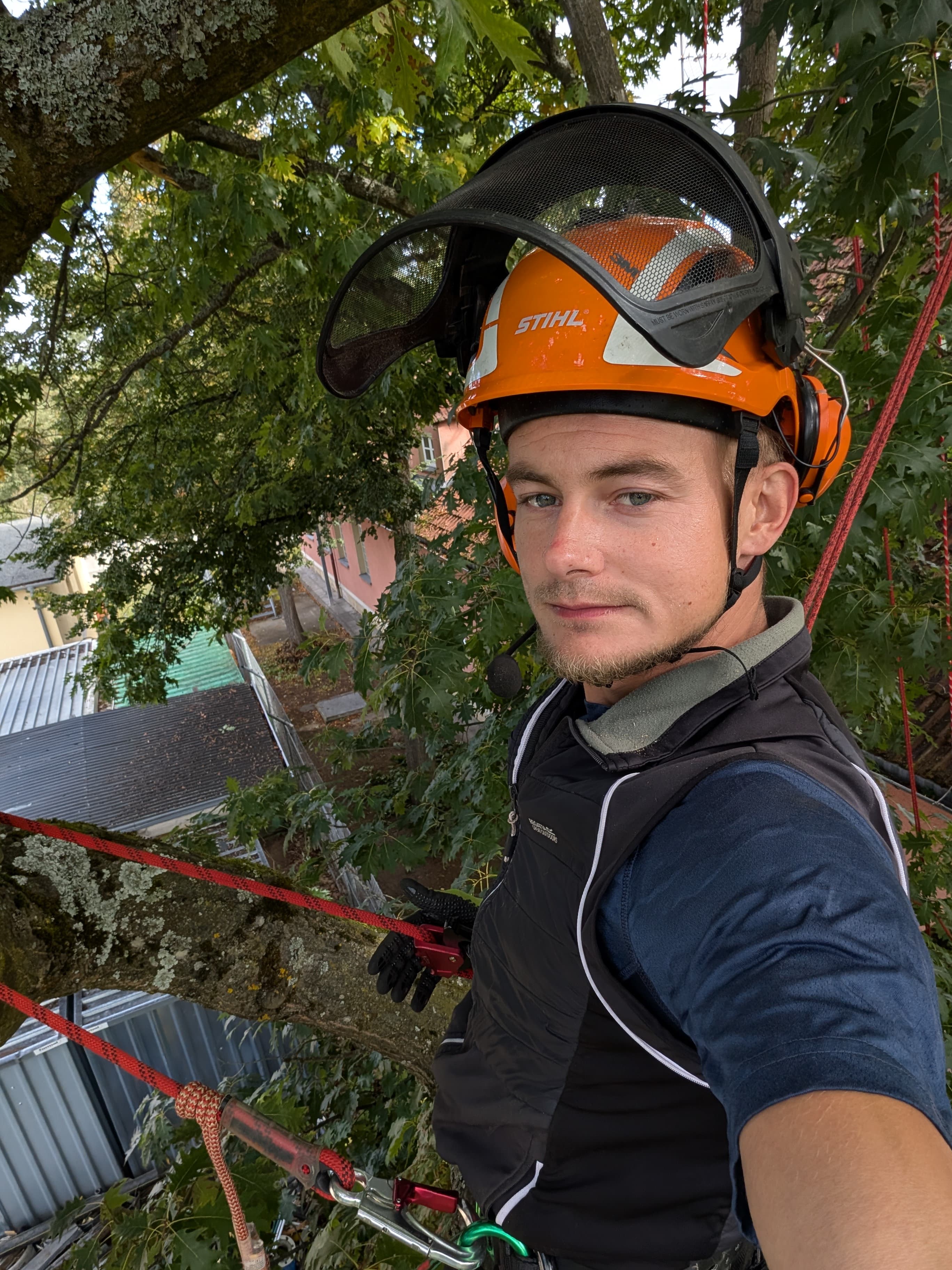 Gartenpflege Hattel mit professioneller SKT-Ausrüstung im Baum bei der Baumpflege in Bamberg